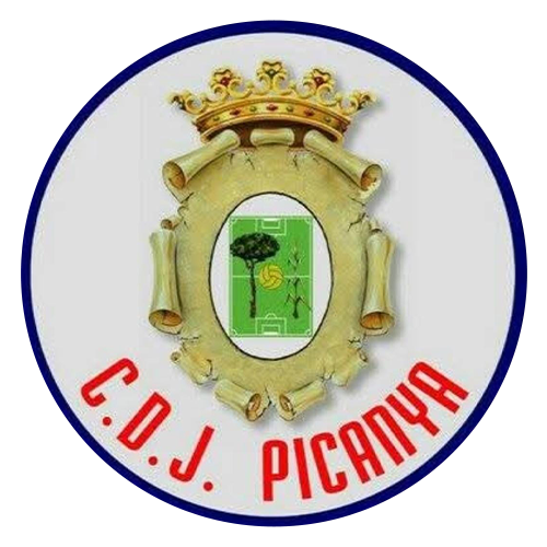 cdj picanya